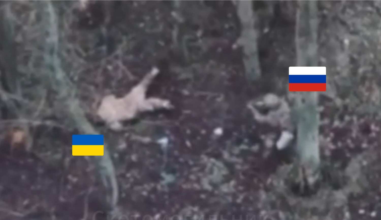 Ukrat pretended to be dead until he was shot.