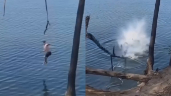LOL Tree Falls on Russian Man After Jumping from a Rope Swing, Leaving Him Seriously Injured