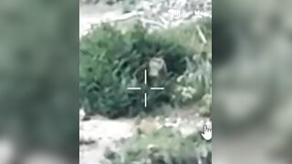 Just another ruzky invader burning after the drone strike
