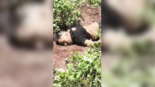 CJNG Sicarios Finish Off Member Of Mayo-Zetas After Battle In Sinaloa
