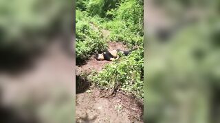 CJNG Sicarios Finish Off Member Of Mayo-Zetas After Battle In Sinaloa