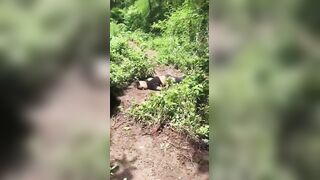 CJNG Sicarios Finish Off Member Of Mayo-Zetas After Battle In Sinaloa