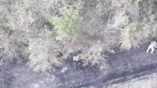 Ukrainian assault ambushed.