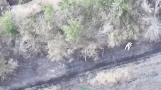 Ukrainian assault ambushed.