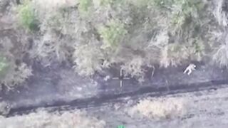Ukrainian assault ambushed.