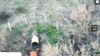 The Ukrainian Mario took the wrong pipe.