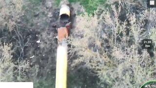 The Ukrainian Mario took the wrong pipe.