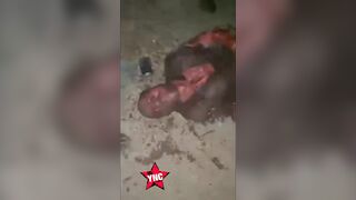 El Mayo Sicario Savagely Beaten By Los Chapitos In Jalisco
