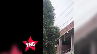 Two Workers Died On Spot After Contacting Live Wire