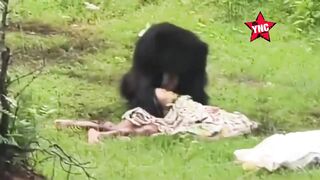Two Killed Following Bear Attack In India