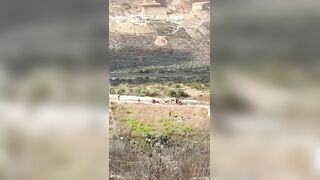 Israeli man killed and two others wounded after Palestinians attacked a hiking group