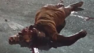 Closed Casked Case: Brazilian Woman`s Head Destroyed By The Bus