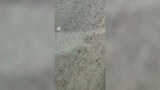Closed Casked Case: Brazilian Woman`s Head Destroyed By The Bus
