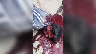 Protester In Kashmir Dies In Horrible Agony After Being Shot By Paramilitary Group