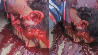 Protester In Kashmir Dies In Horrible Agony After Being Shot By Paramilitary Group