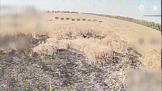 Birds of Magyar continue to eliminate russian occupiers in great numbers, 07.08.2026