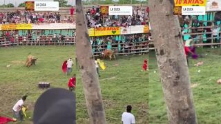 FUCKING BRUTAL, idiot crashed by bull