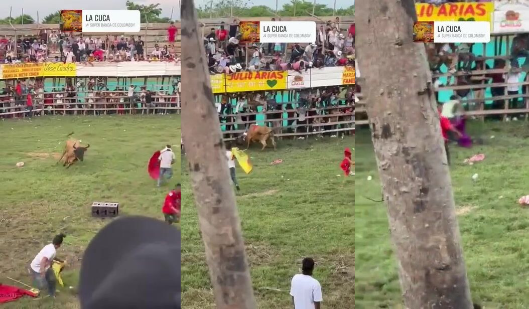 FUCKING BRUTAL, idiot crashed by bull