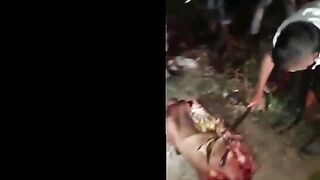 Death 'n' shit compilation 13