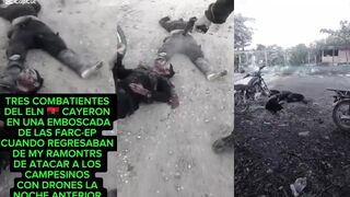 ELN member killed in Venezuela