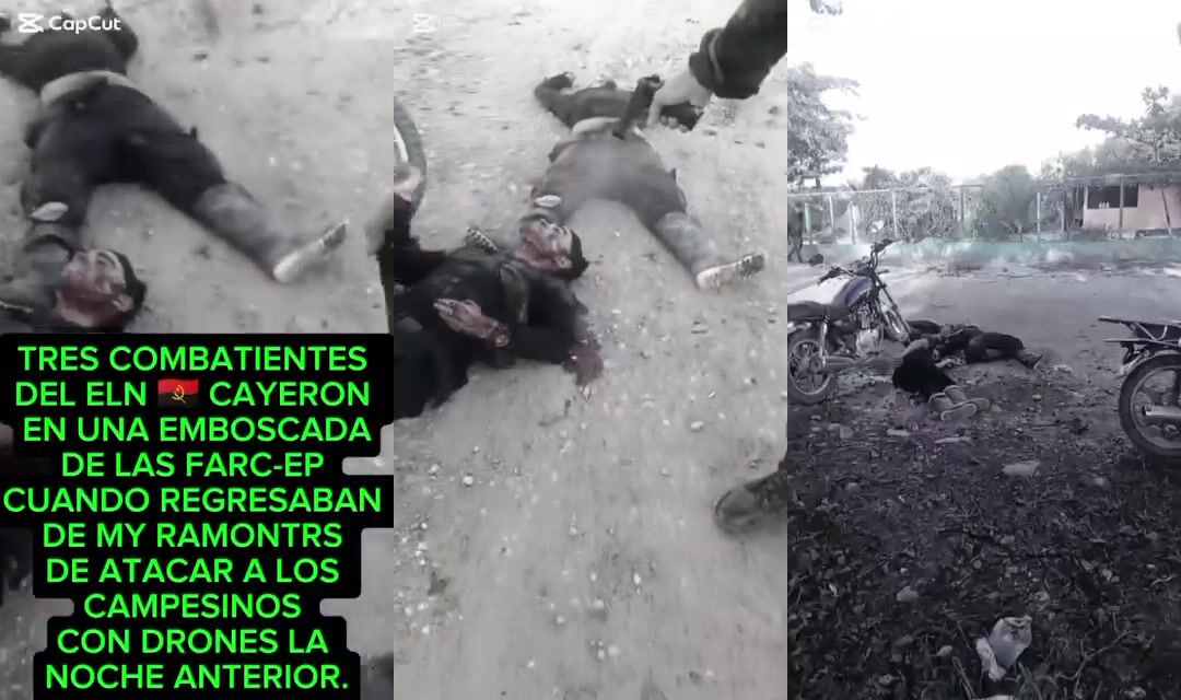 ELN member killed in Venezuela