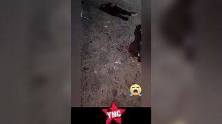 {FULL} One Beheaded And Another Ripped In Halves: Motorcycle Crash In Brazil Kills Two