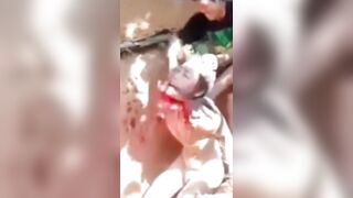 gore compilation