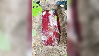 gore compilation