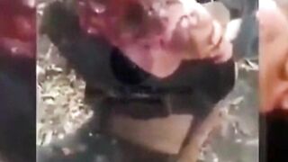 gore compilation