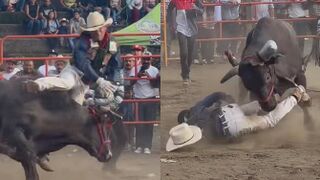 They Should Let The Bull Finish Him Off