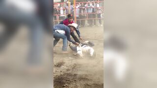 They Should Let The Bull Finish Him Off
