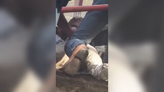 They Should Let The Bull Finish Him Off