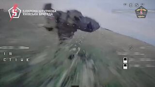 Dead Russians by 5th Brigade.