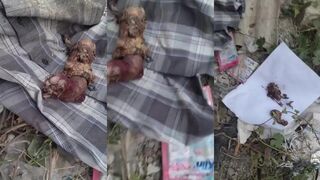 Human remains regurgitated by monitor lizard