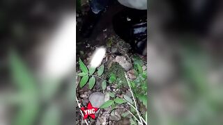 Cartel Sicarios Behead Rival And Have Fun With His Head