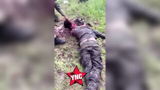 Cartel Sicario Beheads Rival With Machete And Enjoys The Result
