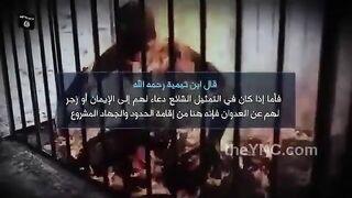 Jordan Pilot Burned Alive by ISIS