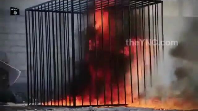 Jordan Pilot Burned Alive by ISIS