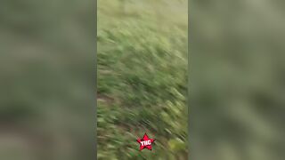 Los Chapitos Film Rivals They Killed During Battle In Sinaloa