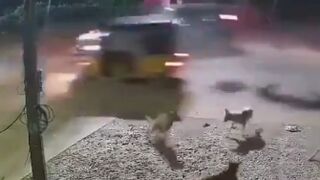 Retired Army Vet Killed in Hyderabad by Wrong-Way SUV