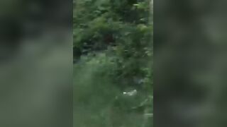 Man Hacked To Death With A Sword In Revenge Killing In India