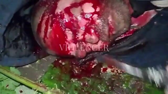 Homeless Dude Tortured, Beaten & Brutally Stabbed To Death By Crazy Fucker