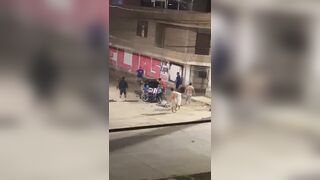 Fleeing In Rickshaw Phone Snatcher Intercepted And Brutalized In Peru