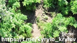 New compilation of torn, blown up and burned Russian intruders by Kyrylo Krylov.