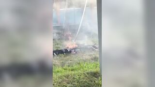 Three Malaysian Police Officers Electrocuted And Killed While Harvesting Coconuts