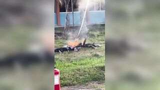 Three Malaysian Police Officers Electrocuted And Killed While Harvesting Coconuts