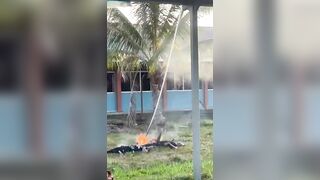 Three Malaysian Police Officers Electrocuted And Killed While Harvesting Coconuts
