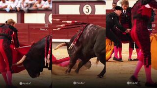 Bullfighters know how to fly, too.