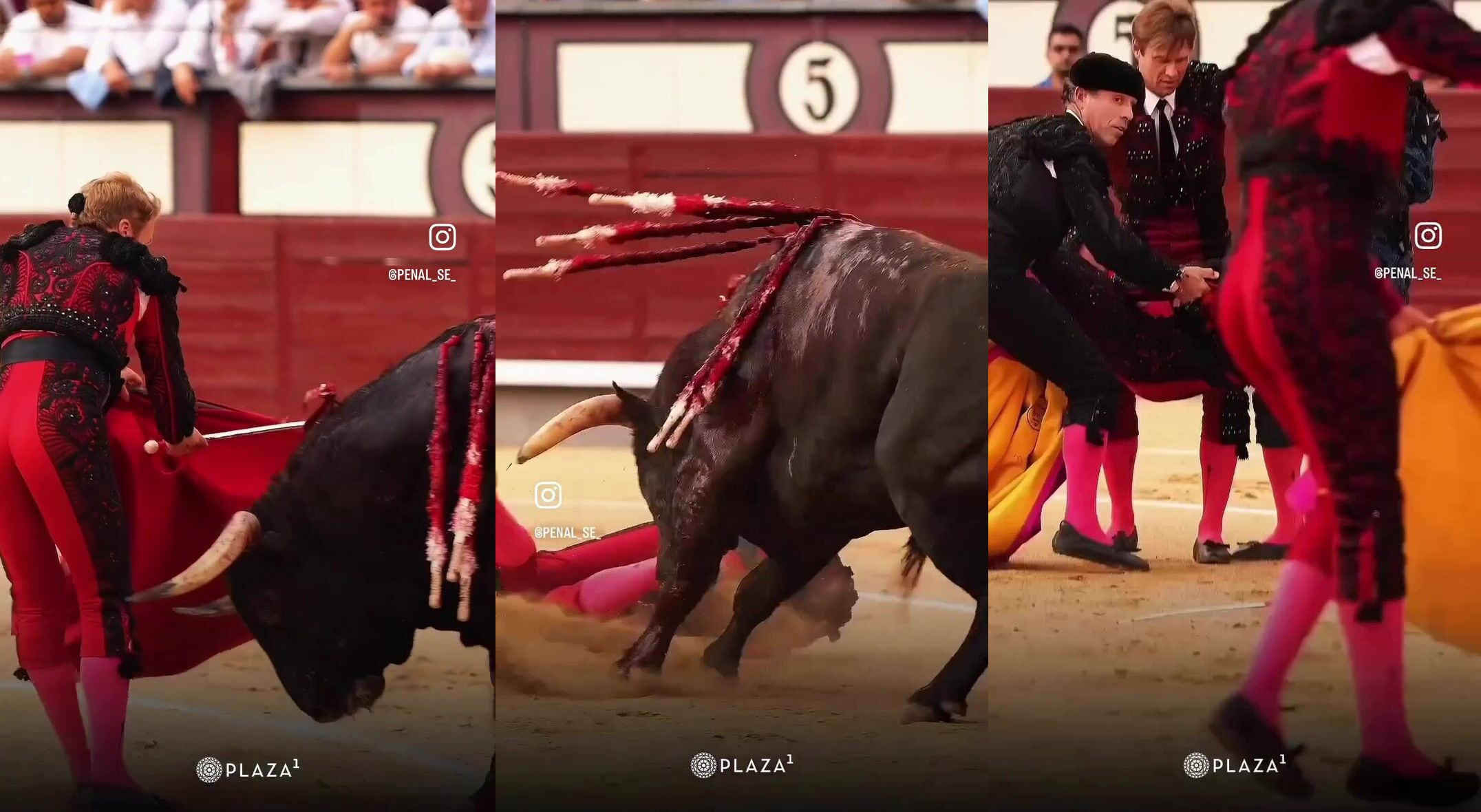 Bullfighters know how to fly, too.