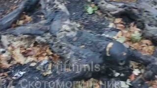 4 Subhuman Ukrainians executed and charred.